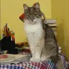 Отзыв от Наталия Осипова